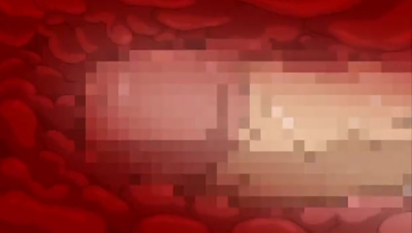 Pollinic Girls Attack! ~The Animation~ Episode 4