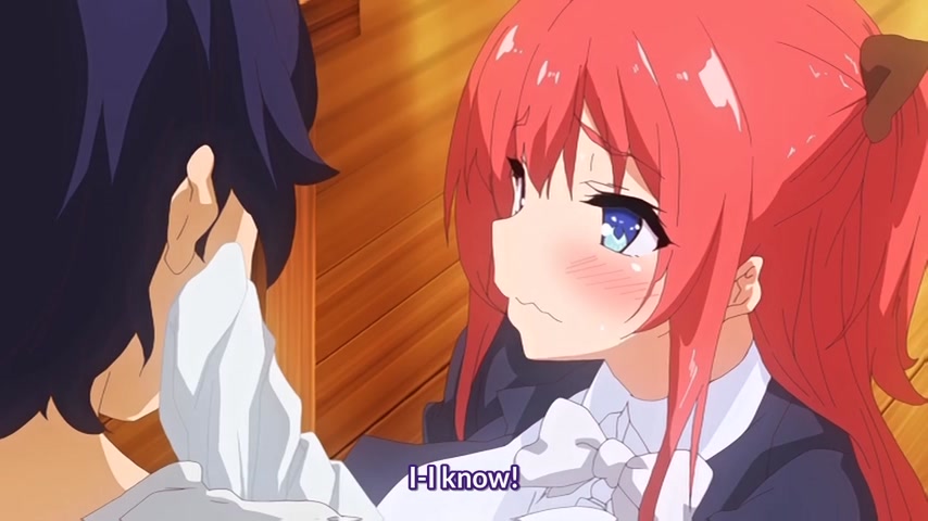 Seikatsu Shuukan The Animation Episode 1